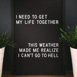 Meet your Posher, Bees